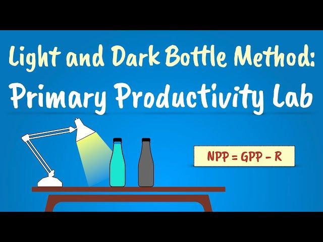 The Light and Dark Bottle Method | Primary Productivity