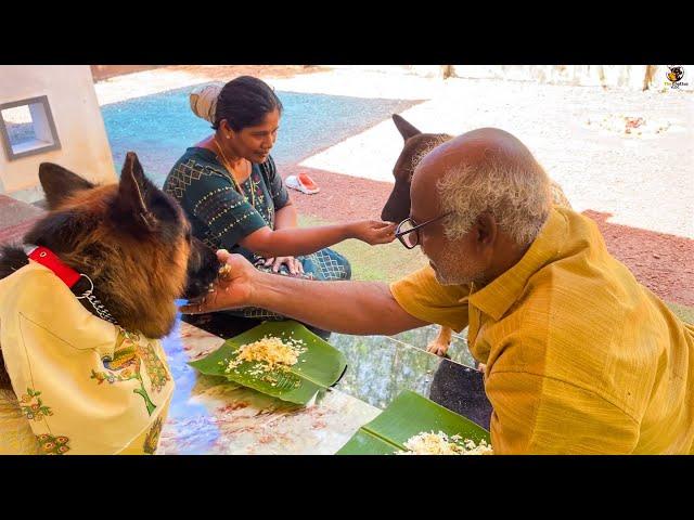 വിശന്നിട്ടു കണ്ണ് കാണാൻ വയ്യ...അമ്മേ സദ്യ വിളമ്പ്..|Leolaika|Chottuz