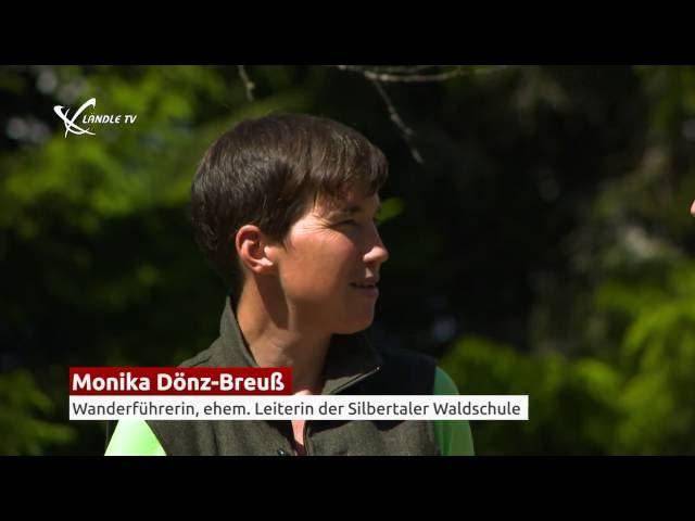 LändleTalk mit Monika Dönz-Breuß Wanderführerin und Waldpädagogin aus dem Silbertal im Montafon