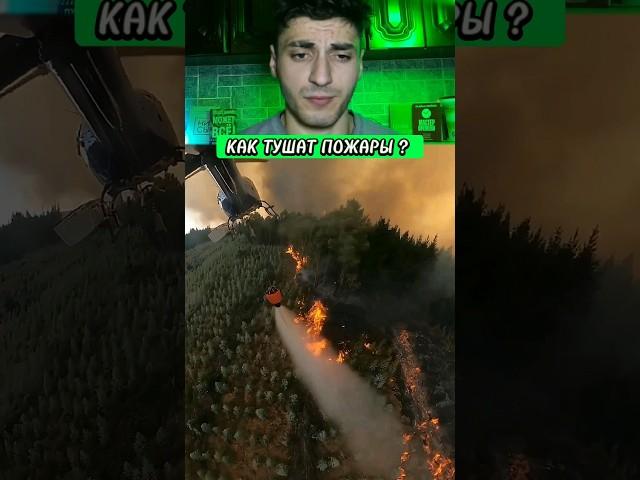 Как тушат лесные пожары? 