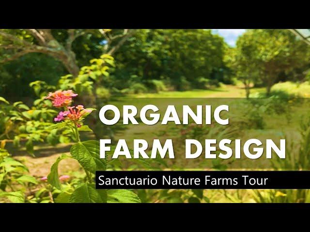 Organic Farm Design - Sanctuario Nature Farms Cavite