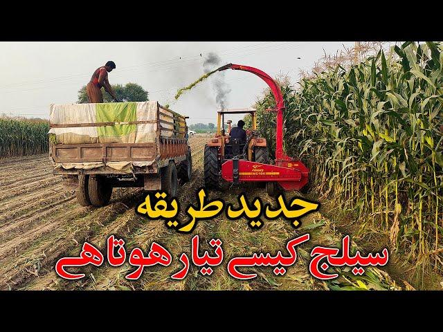 Corn Silage Harvesting with Celmak Stationary Silage Machine in Punjab Pakistan - Silage Making