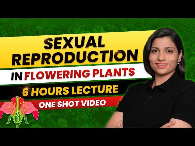 Sexual Reproduction in Flowering Plants Class 12 One Shot All Theory & PYQs NEET 2024 |Ritu Rattewal