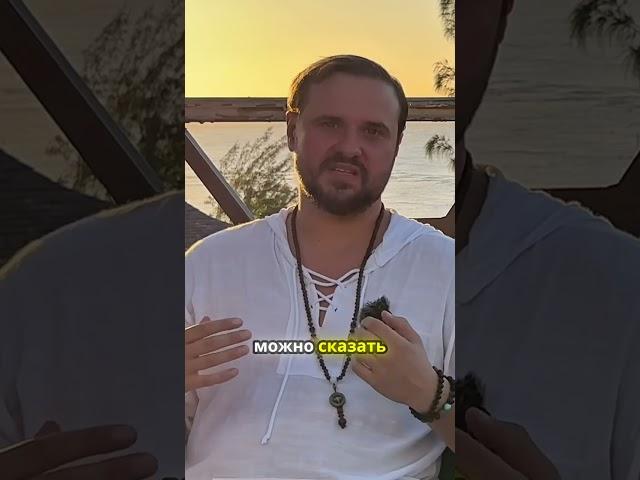 Грибы как ключ к пониманию питания и жизни!