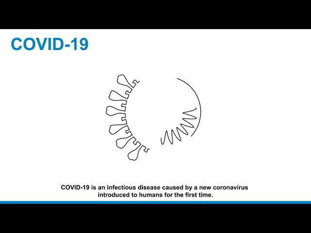 Covid 19 | Coronavirus 2019 to 2020 | ••TECHNICAL SHAHZADA ••| Watch full Video