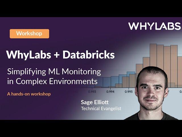 WhyLabs and Databricks: Simplifying ML Monitoring in Complex Environments