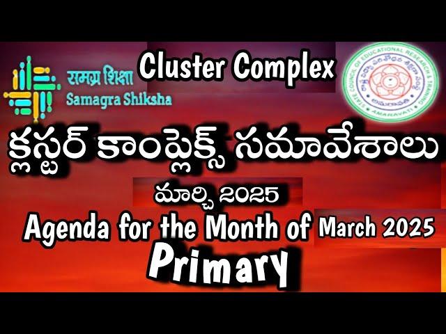 Cluster Complex Meeting/March 2025/Primary/Agenda/Guidelines/Instructions