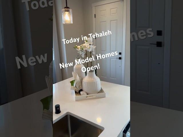 Today in Tehaleh - New Model Homes Open - Glacier Pointe in Tehaleh️ Schedule Your Private Tour!