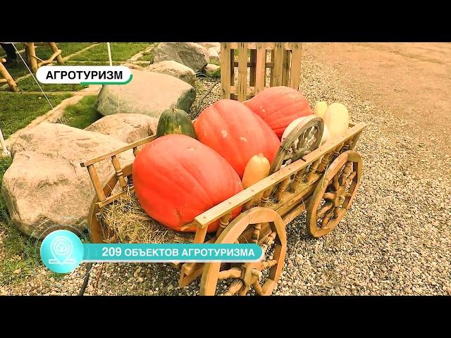 «Первый Ярославский» к выставке «Золотая осень» подготовил презентационный ролик Ярославской области