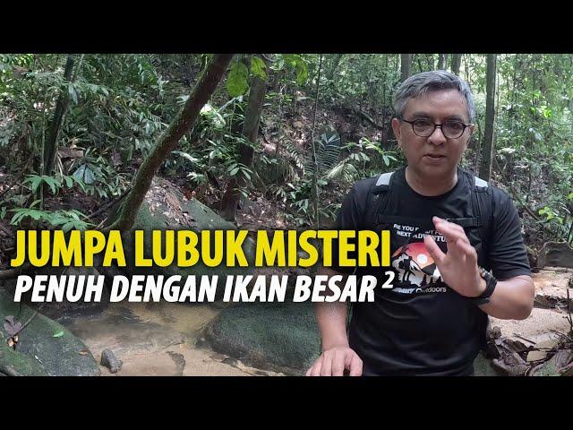 Jumpa Lubuk Tengas yang LUAR BIASA di Hutan Rahsia Setinggi 1100 Meter Elevation.