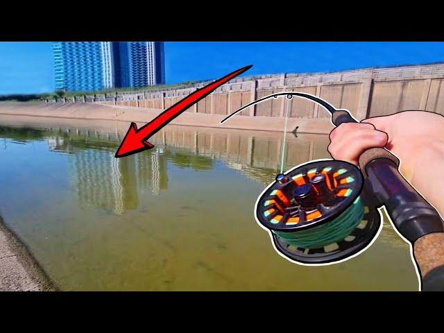 Houston's Most Dangerous Fishing Secret!