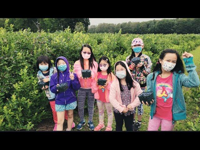 Ep 36 - Blueberry Picking Tips and Facts | Bubblelina's Adventures | Summer Fun | Kids