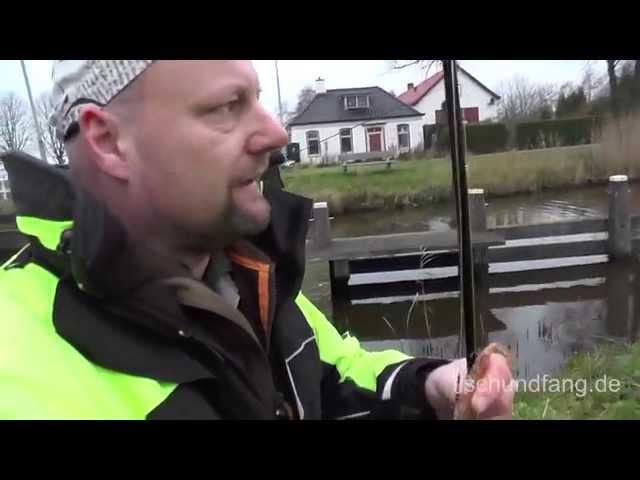 Matze Koch Hecht: Was mag der Esox? - Matzes Mätzchen 09-2014