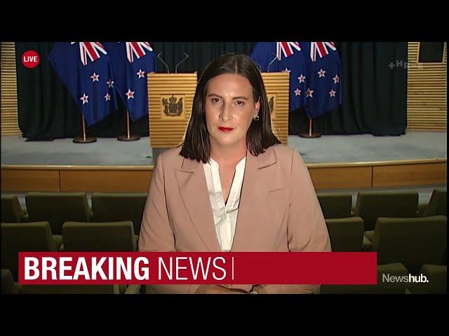 PM reconsidering Stuart Nash's future after allegations he shared confidential discussions | Newshub