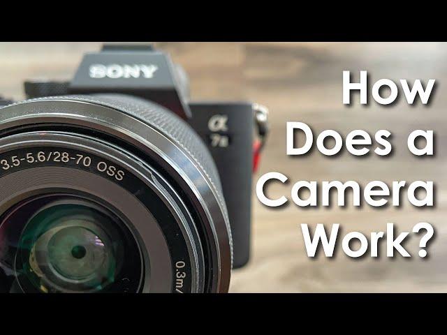 How Does a Camera Work?