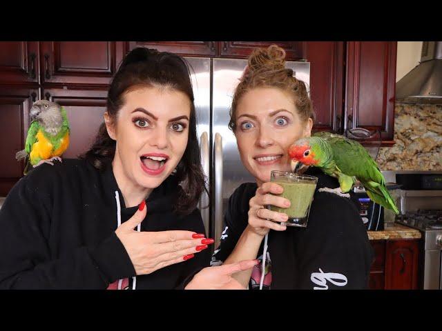 HOW TO MAKE PARROT CHOP FOR YOU AND YOUR BIRD TO ENJOY TOGETHER! | PARROT CHOP CHEF