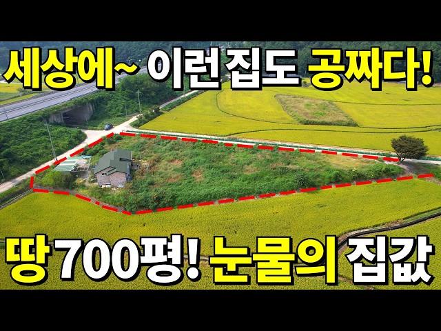 세상에~이런 집도 공짜입니다! 땅 700평+ 2018년식 전원주택=안 팔려서 결국 0원