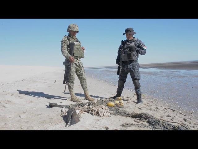 4o Aniversario de la División de Gendarmería de Policía Federal de México