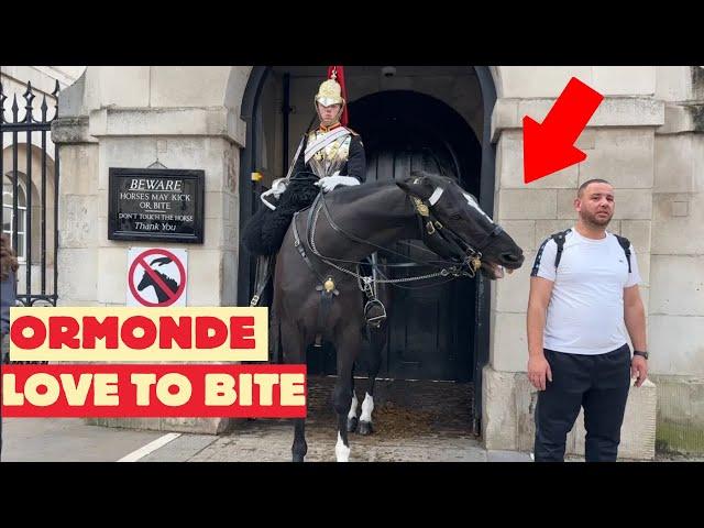 Ormonde is Back to Bite Tourists Who Broke the Rules – Must See!