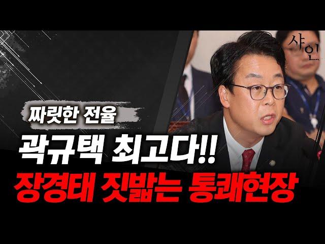 곽규택이 또..최고다!!! 법사위 민주당 밟아버림ㄷㄷ실제영상 포함