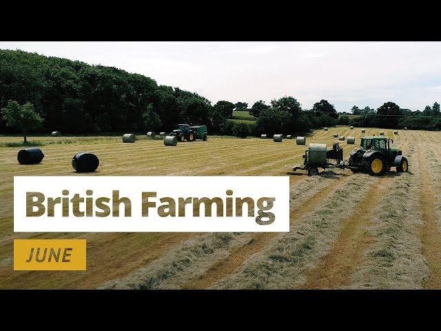 British Farming | 12 Months On A UK Farm: June