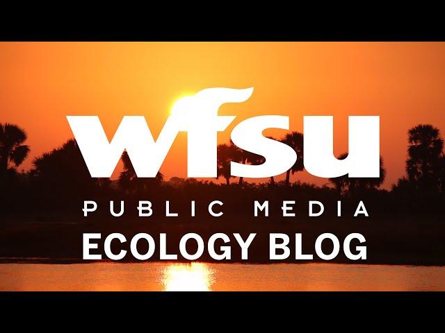 Welcome to the WFSU Ecology Blog