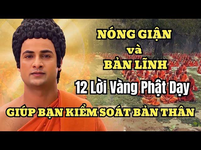 12 Lời Vàng Phật Dạy: Giúp Bạn Kiểm Soát Bản Thân