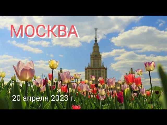 КОТоПрогулка по Москве: Воробьёвы горы, Парк Горького, Пушкин, Рахманинов и Любовь, 20 апреля 2023г.