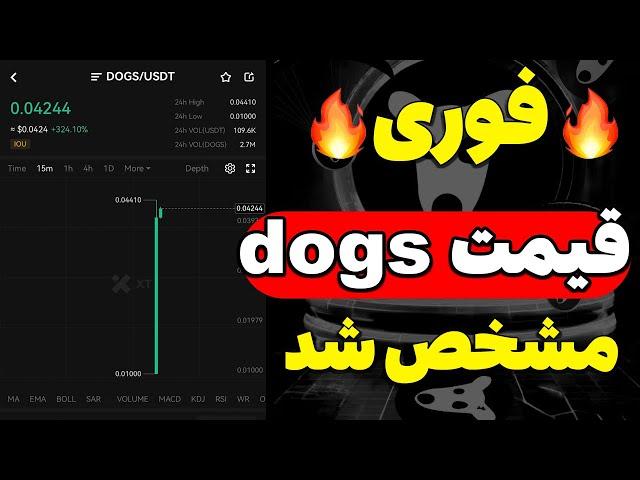 قیمت ارز dogs مشخص شد