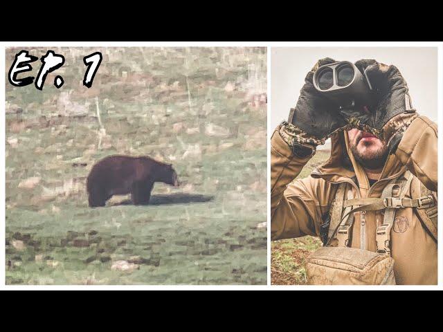 WE FOUND A MONSTER BEAR! ICON TOUR "SPRING BEAR"