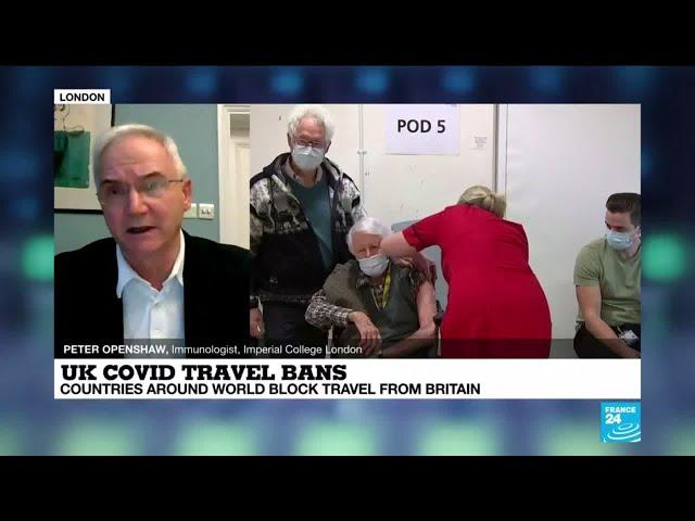 UK immunologist says masks, social distancing 'should work' against new strain of Covid-19