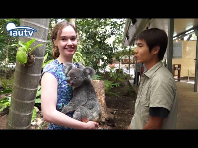 A Date with Australia-Lone Pine Koala Sanctuary