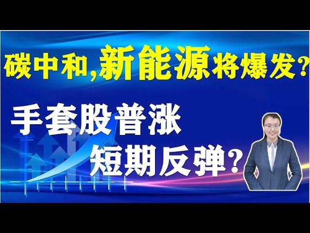 Homily Chart Linda午盘半小时04-23|碳中和,新能源将爆发?|加税,利空出尽or下跌开始|IFAST利润大增, 可以买?|手套股普涨, 机会来临?|DISH|DQ|AZtech