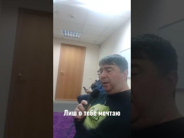 руки вверх песня на итальянском артисты #тюмень #артисты #свадьбатюмень #свадьба2023 #новоститюмень