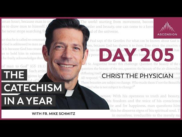 Day 205: Christ the Physician — The Catechism in a Year (with Fr. Mike Schmitz)