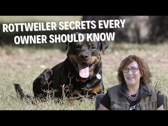 Working Rottweiler Secrets: What Every Owner Needs to Know