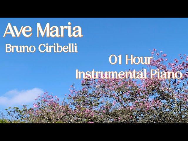 Ave Maria by Bruno Ciribelli / 1 Hour of Music to Soothe and Pacify / Instrumental Piano