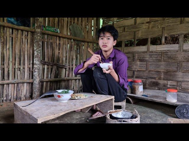 The boy harvests horsetail tubers to sell, the boy's lonely meal without his sister - Ly Dinh Quang