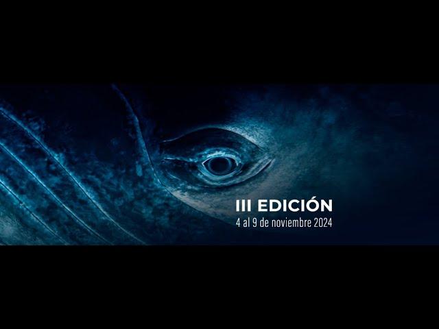 PANORAMA AI PODCAST te adelanta 4 avances documentales del Wild Oceans FilmFest