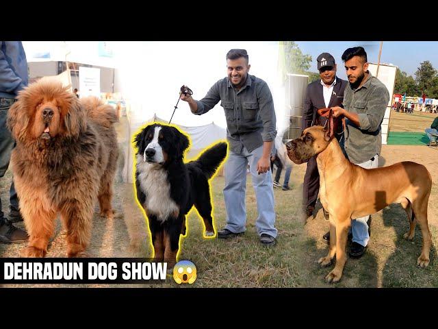 Biggest Dog Show in Uttarakhand | Dehradun Dog Show 2023