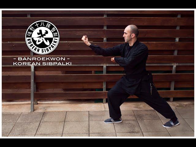 SIBPALKI  - Banroegwon -  십팔기 권법 KOREAN MARTIAL ART