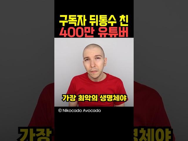 구독자 뒤통수 친 400만 유튜버 ㅎㄷㄷ