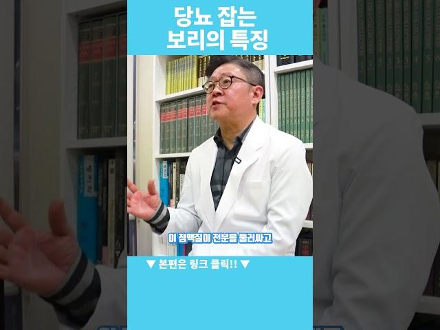 당뇨 잡는 보리의 특징 #보리 #당뇨예방 #늘보리