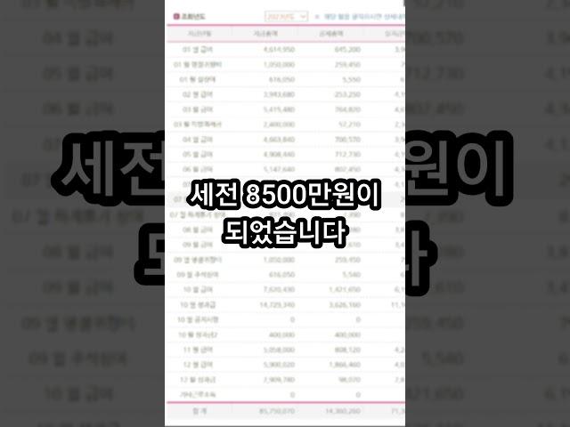 연봉 8500만원 실수령 금액은? ( #연봉 #월급쟁이 )