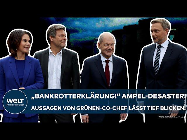 GERMANY: "Declaration of bankruptcy!"  Statements by Green Party co-leader give a deep insight