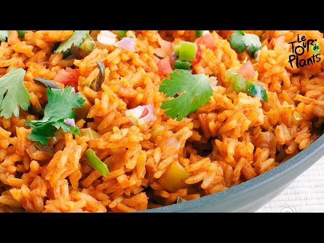 Spanish Rice (Mexican Rice) Using a Rice Cooker (Fat Free, Vegan, Oil Free) | One Minute Recipes