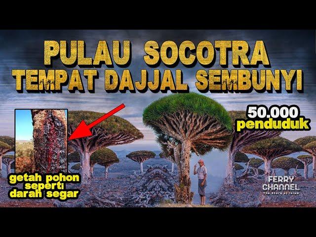 JARANG DIBAHAS! Pulau Tempat Dajjal Sembunyi Jadi Rebutan Negara Arab! Aneh dan Uniknya Alam Socotra