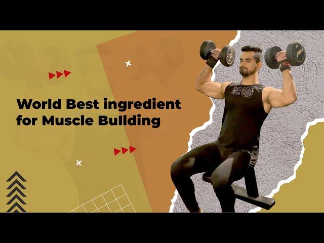 World's Best Ingredient For Building Muscles and Fat Loss || Vinu Arora Fitness