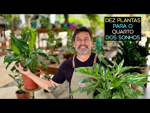 DEZ PLANTAS Para o Quarto DOS SONHOS