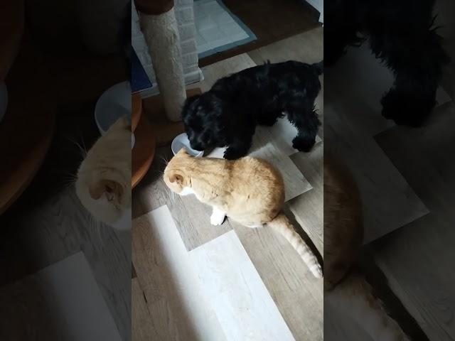 из одной))